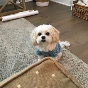 Meet your Posher, Kelly